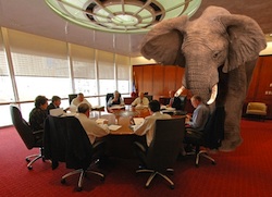 elephant-in-the-room250